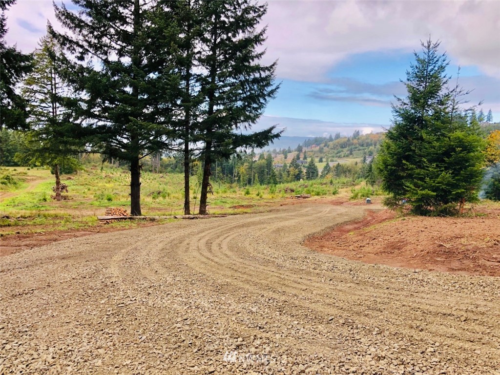 184 Falcon Road Kalama, WA 98625 - Photo 11 of 20 Gallery Image 11