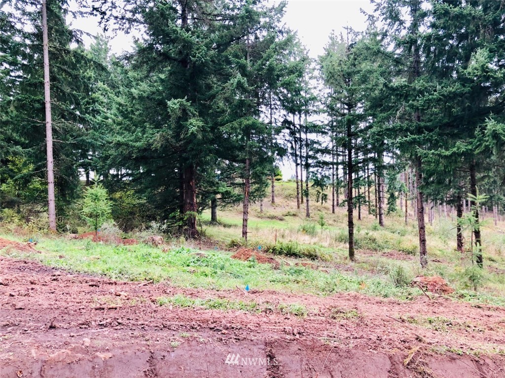 184 Falcon Road Kalama, WA 98625 - Photo 13 of 20 Gallery Image 13
