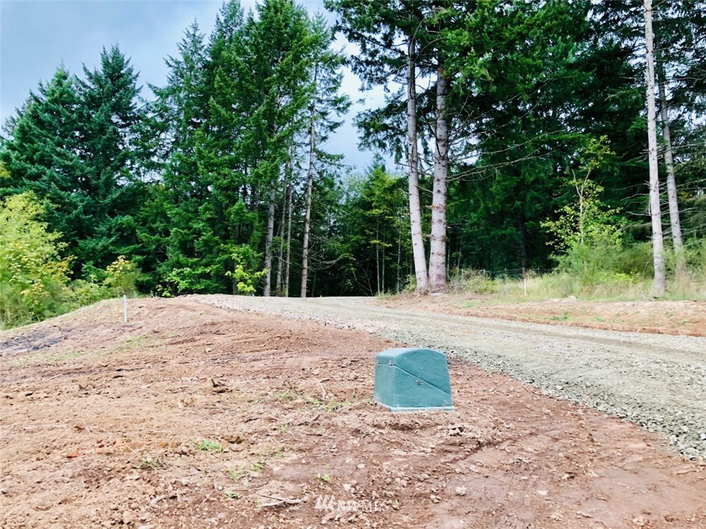 184 Falcon Road Kalama, WA 98625 - Photo 15 of 20 Gallery Image 15