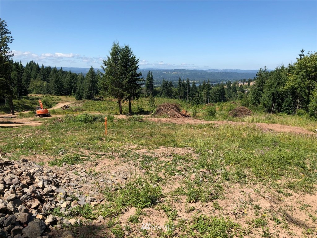 184 Falcon Road Kalama, WA 98625 - Photo 4 of 20 Gallery Image 4