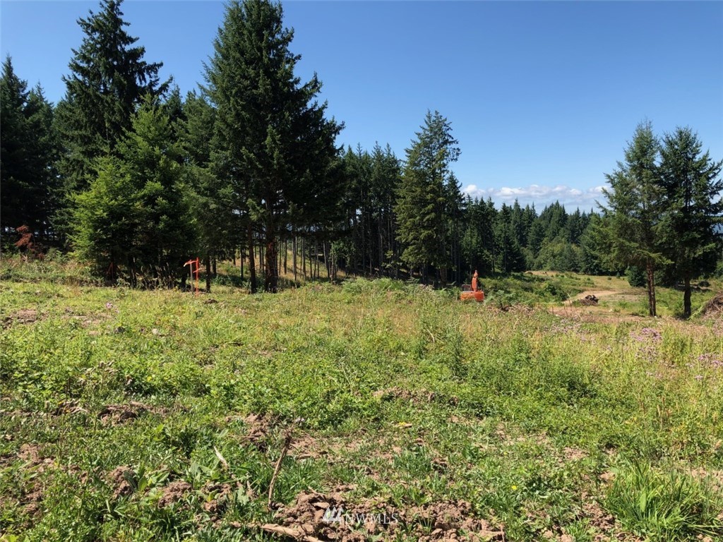 184 Falcon Road Kalama, WA 98625 - Photo 5 of 20 Gallery Image 5