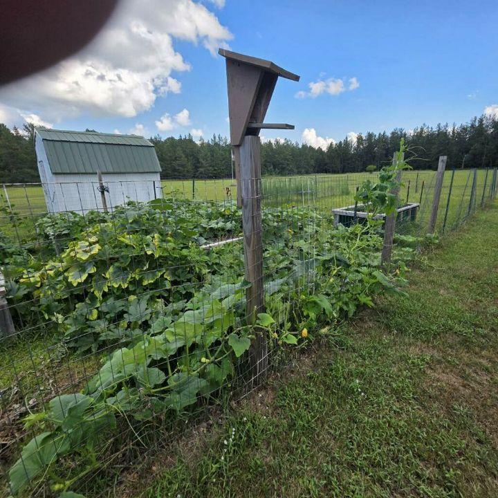 23548 West River Road Grantsburg, WI 54840 - Photo 46 of 49