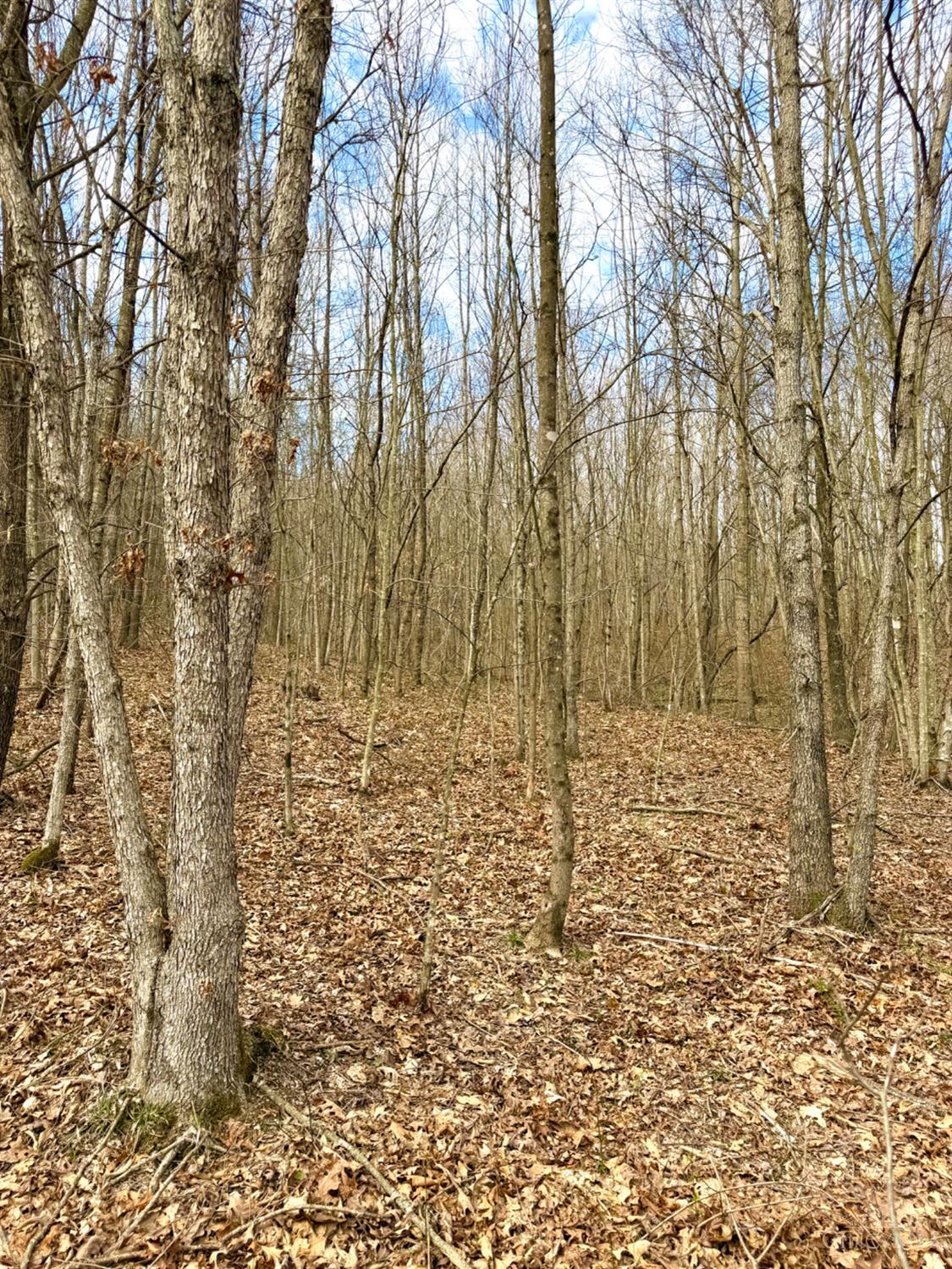 0 Fyffe Hollow Road Chillicothe, OH 45601 - Photo 56 of 96