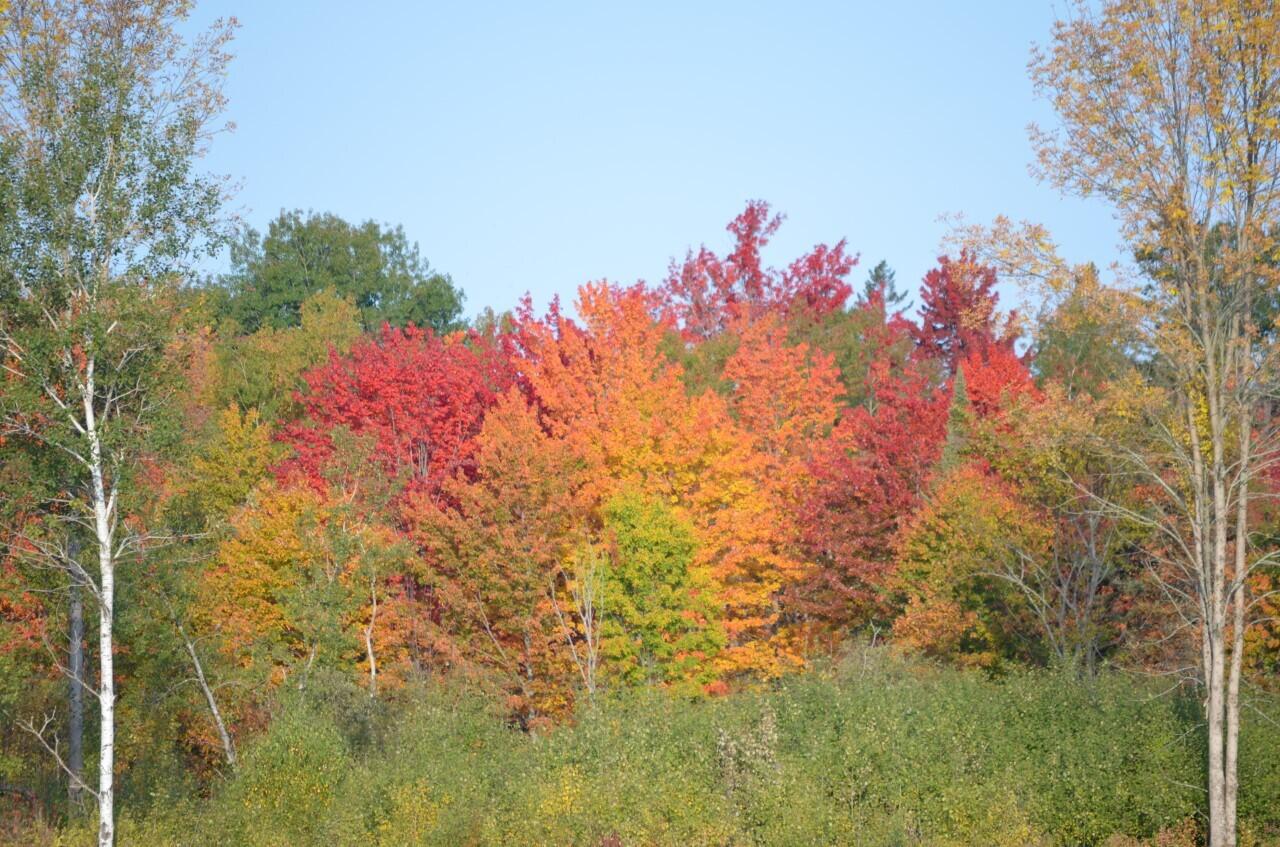 1644 Bangor Road Clinton, ME 04927 - Photo 22 of 51 Gorgeous fall views