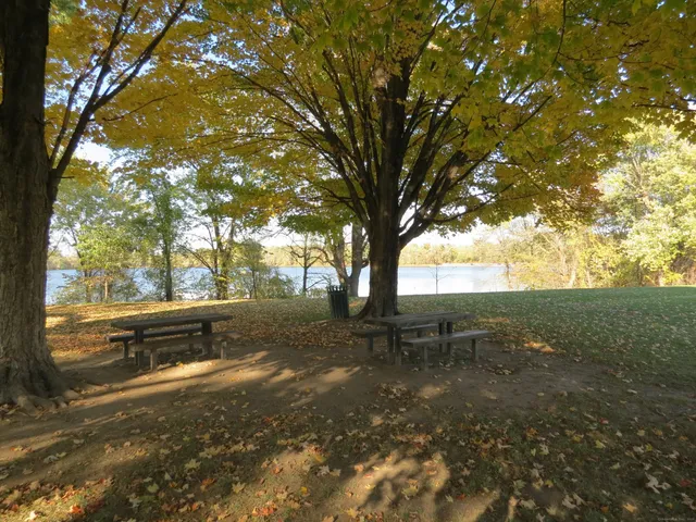 a front view of a house with a garden and plants