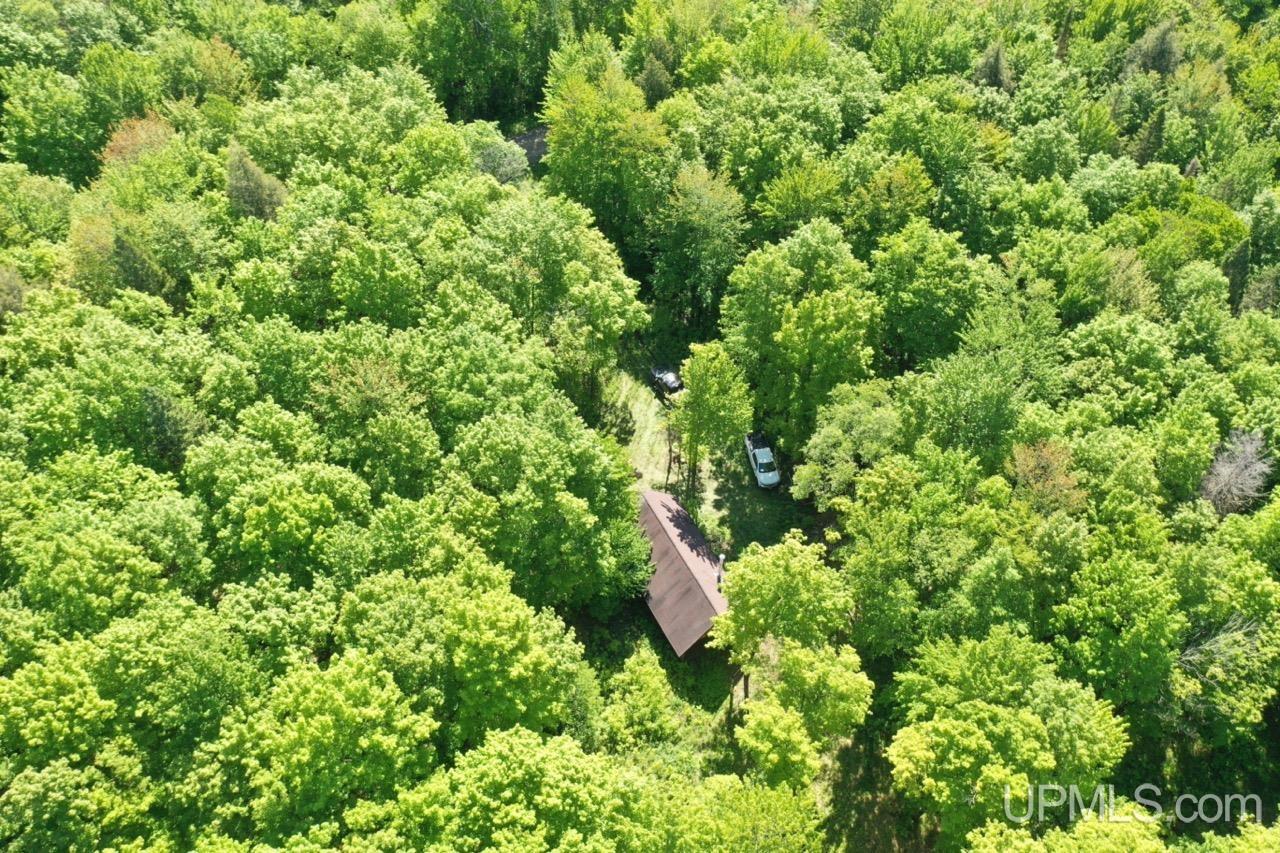 527 Usfs Road Iron River, MI 49935 - Photo 2 of 37