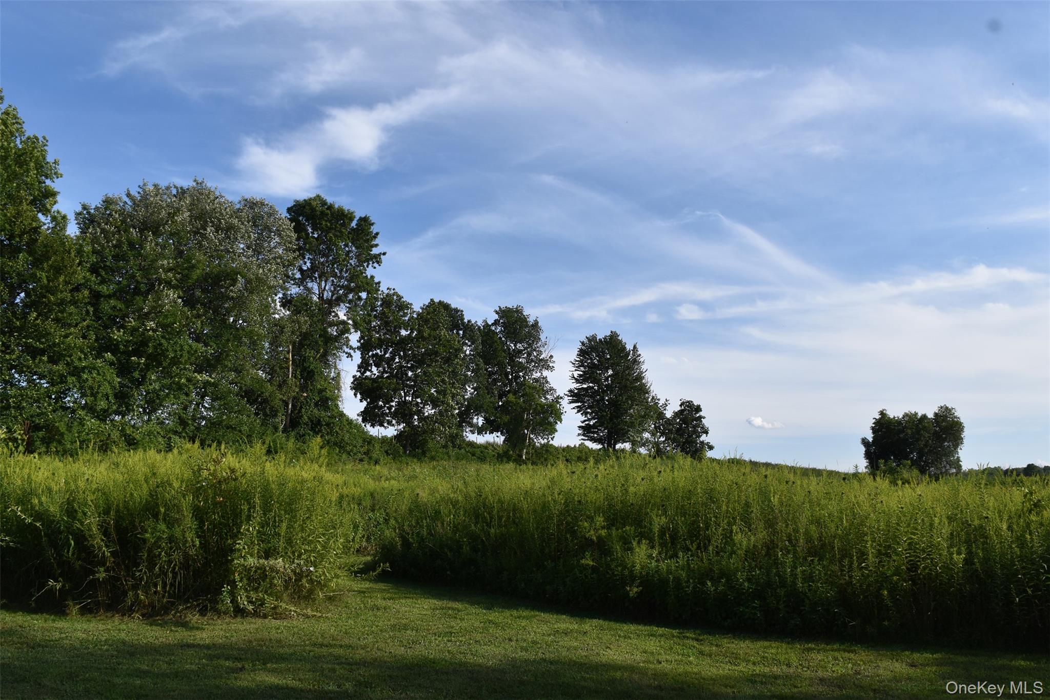 188 S Road Tivoli, NY 12583 - Photo 14 of 16 a view of a garden and basketball court