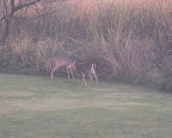 $450,000 | 10779 Stadt Road, Marshfield, WI 54449