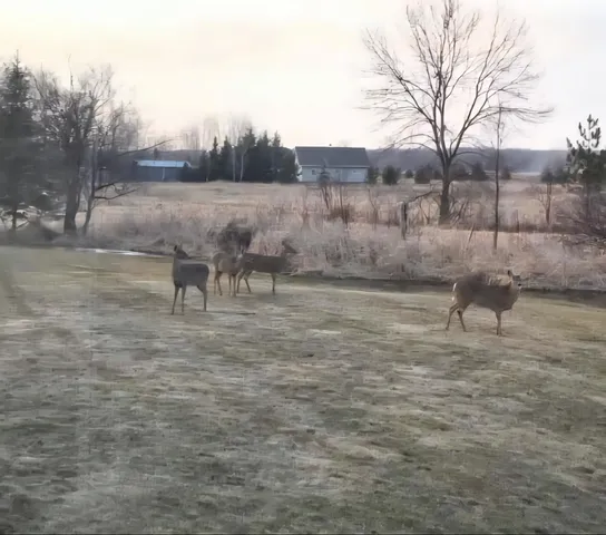 $450,000 | 10779 Stadt Road, Marshfield, WI 54449