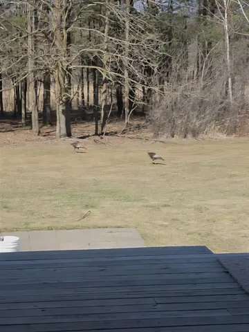 $450,000 | 10779 Stadt Road, Marshfield, WI 54449