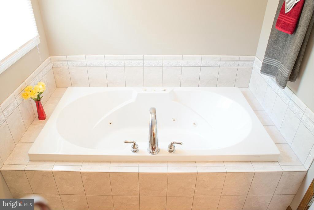 1515 Snug Harbor Road Shady Side, MD 20764 - Photo 19 of 30 Bath (Master) View