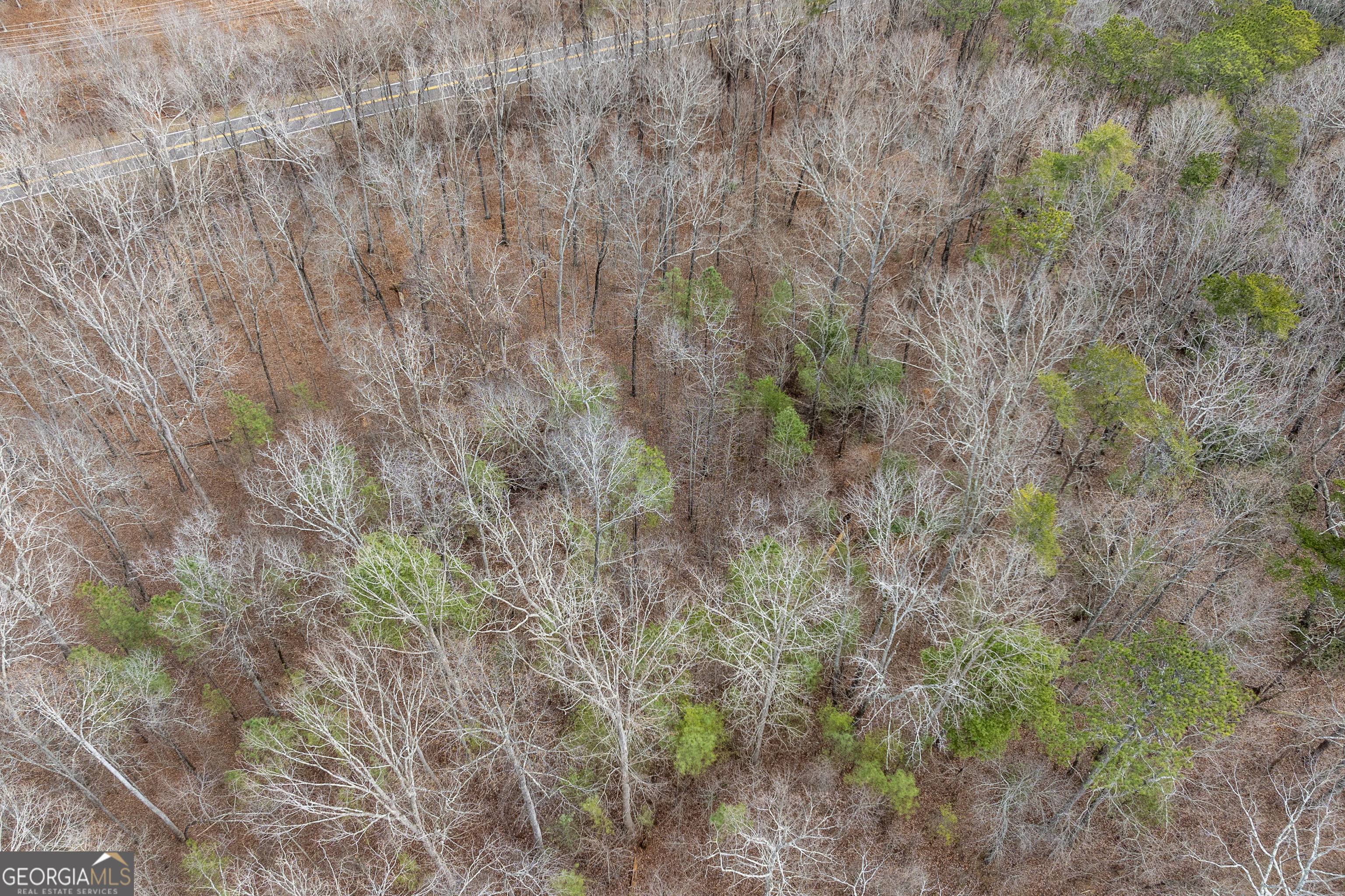 0 Cowart Mountain Tract 1 Road Jasper, GA 30143 - Photo 13 of 13