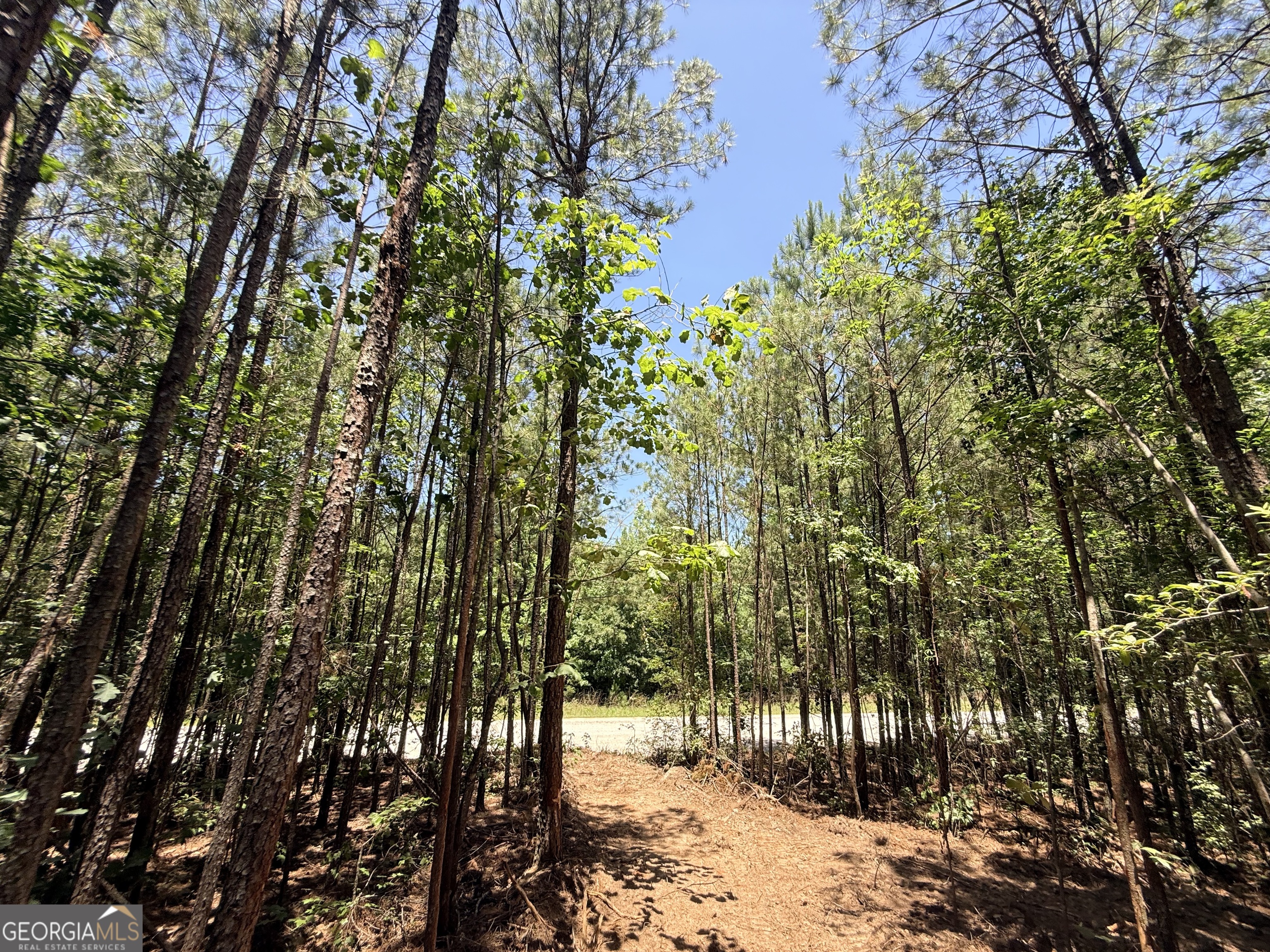 2807 Cedar Creek Road Elberton, GA 30635 - Photo 22 of 109