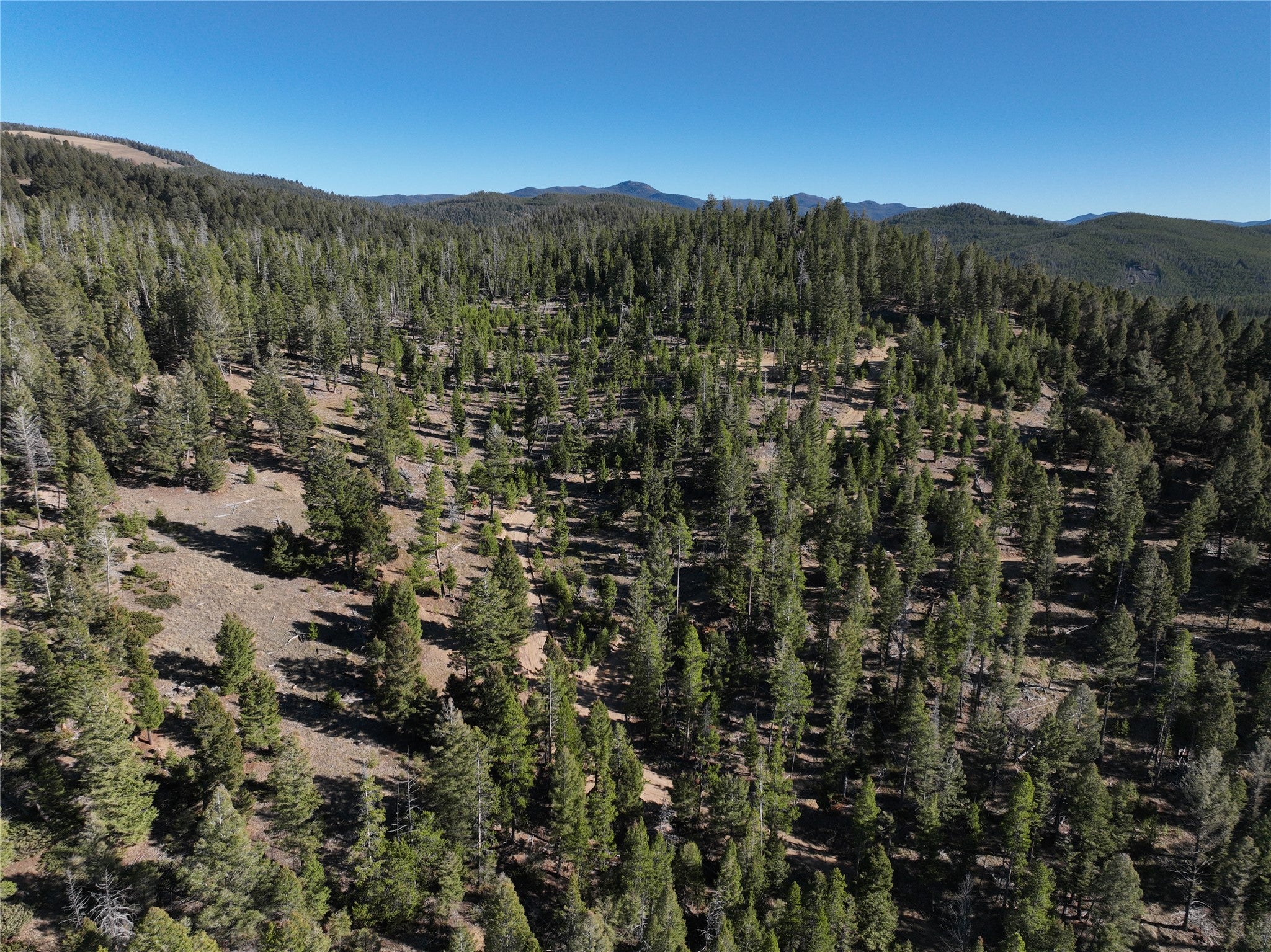 Lot 8 Ruby Street Butte, MT 59701 - Photo 13 of 34 Gallery Image 13