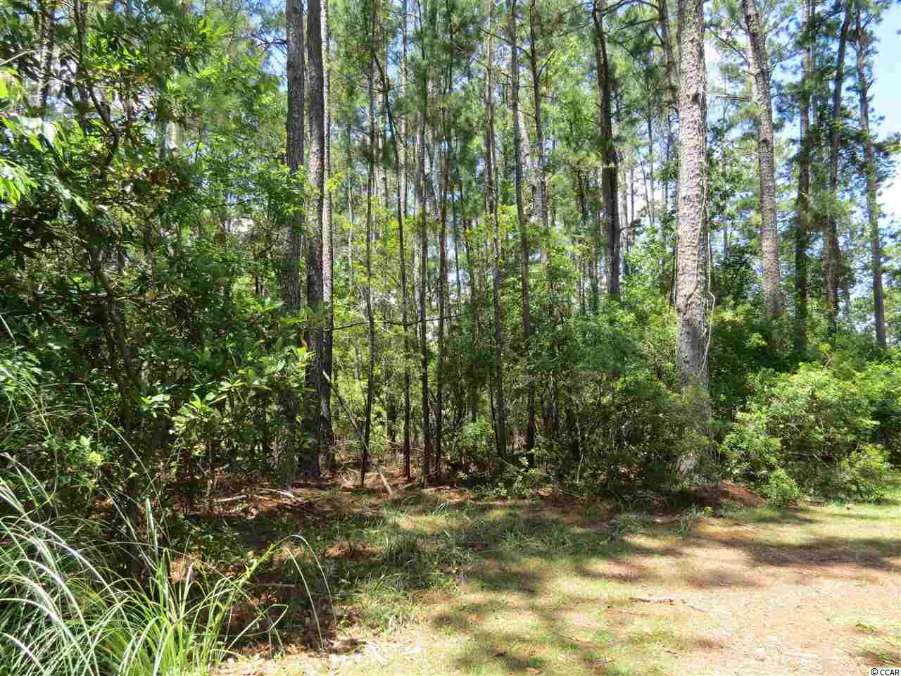 Lot 7 Fiddlers Loop Georgetown, SC 29440 - Photo 1 of 4 Gallery Image 1
