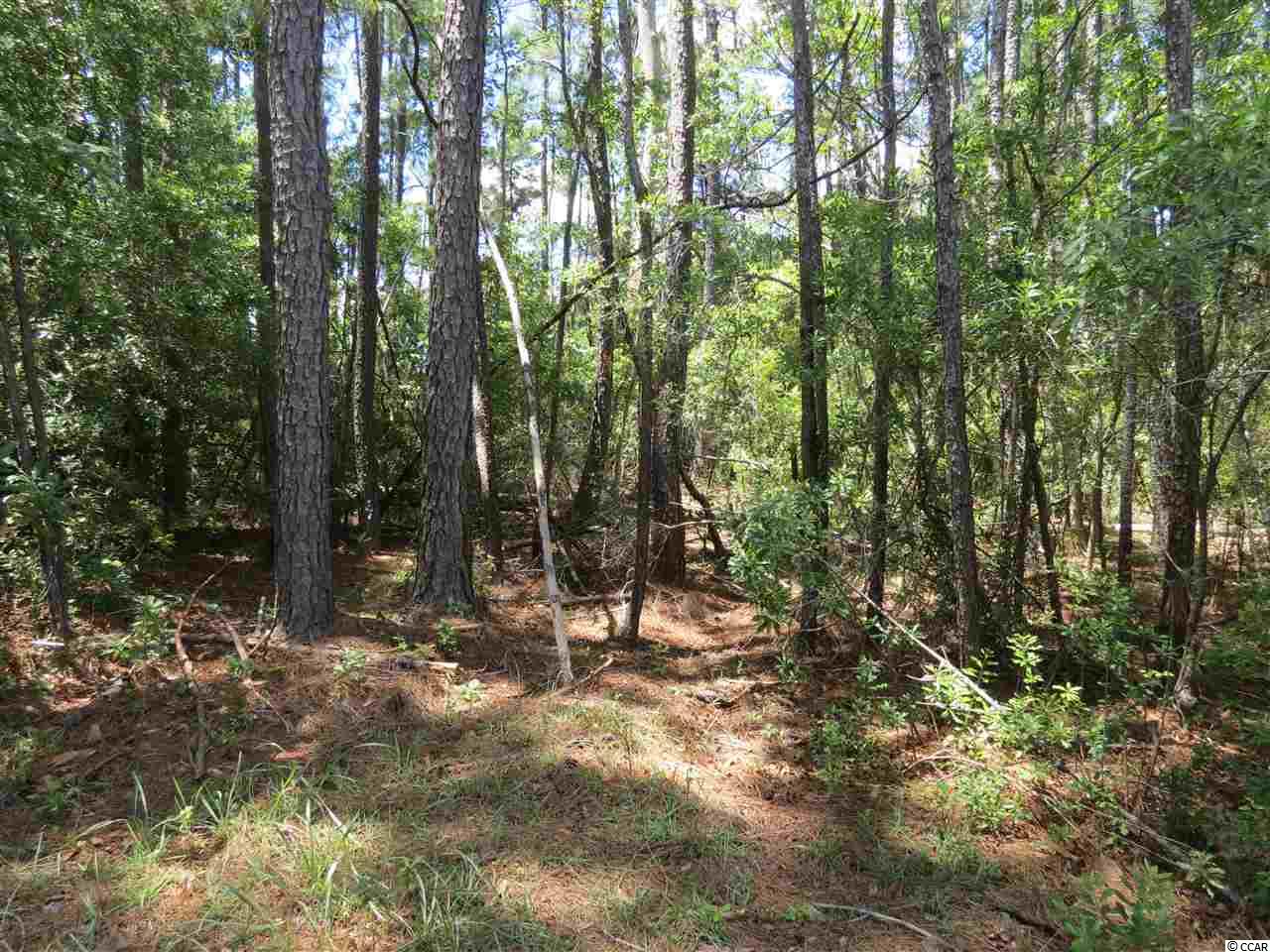 Lot 7 Fiddlers Loop Georgetown, SC 29440 - Photo 2 of 4 Gallery Image 2