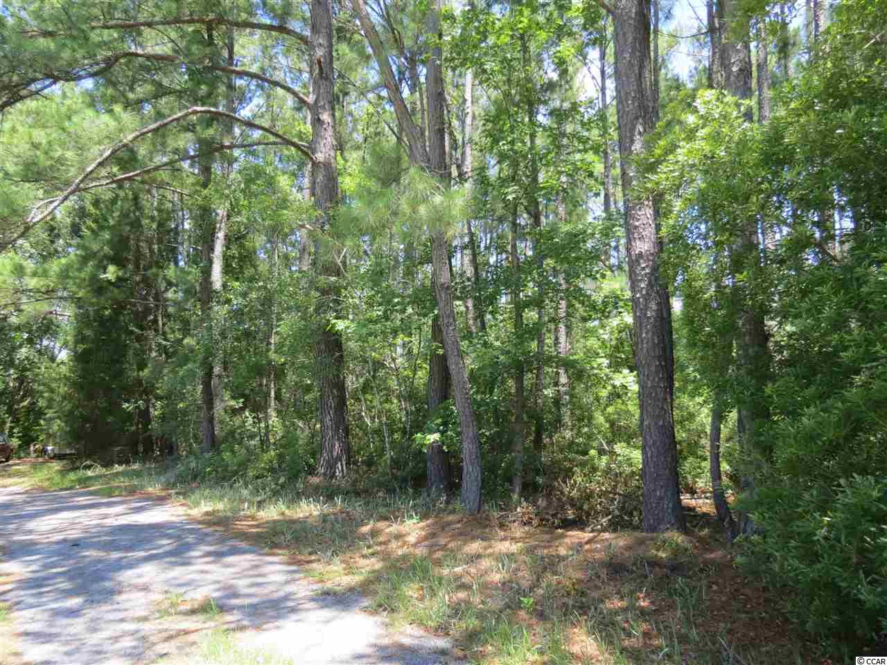 Lot 7 Fiddlers Loop Georgetown, SC 29440 - Photo 3 of 4 Gallery Image 3