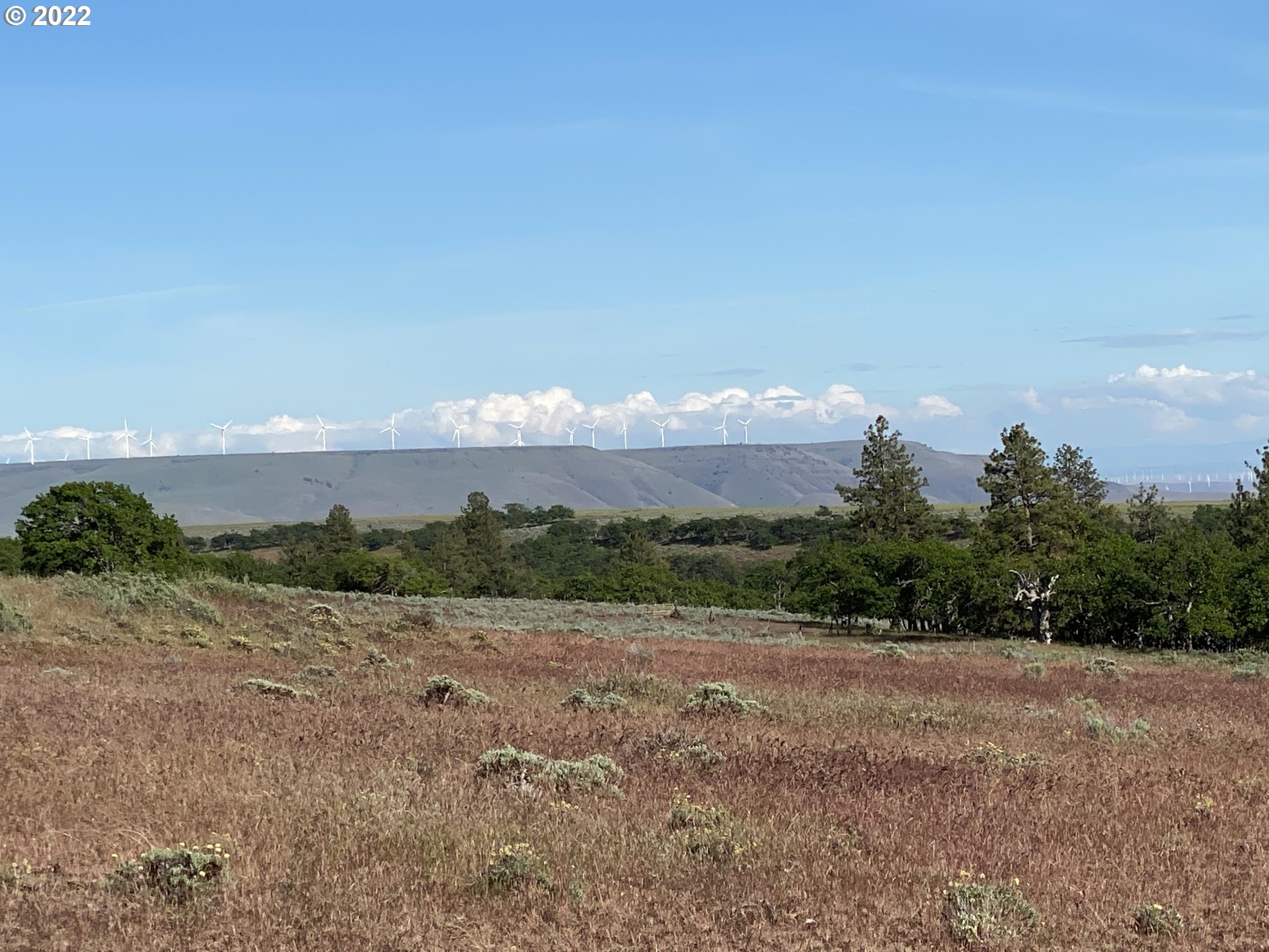 Holter Road Goldendale, WA 98620 - Photo 20 of 23 Gallery Image 20