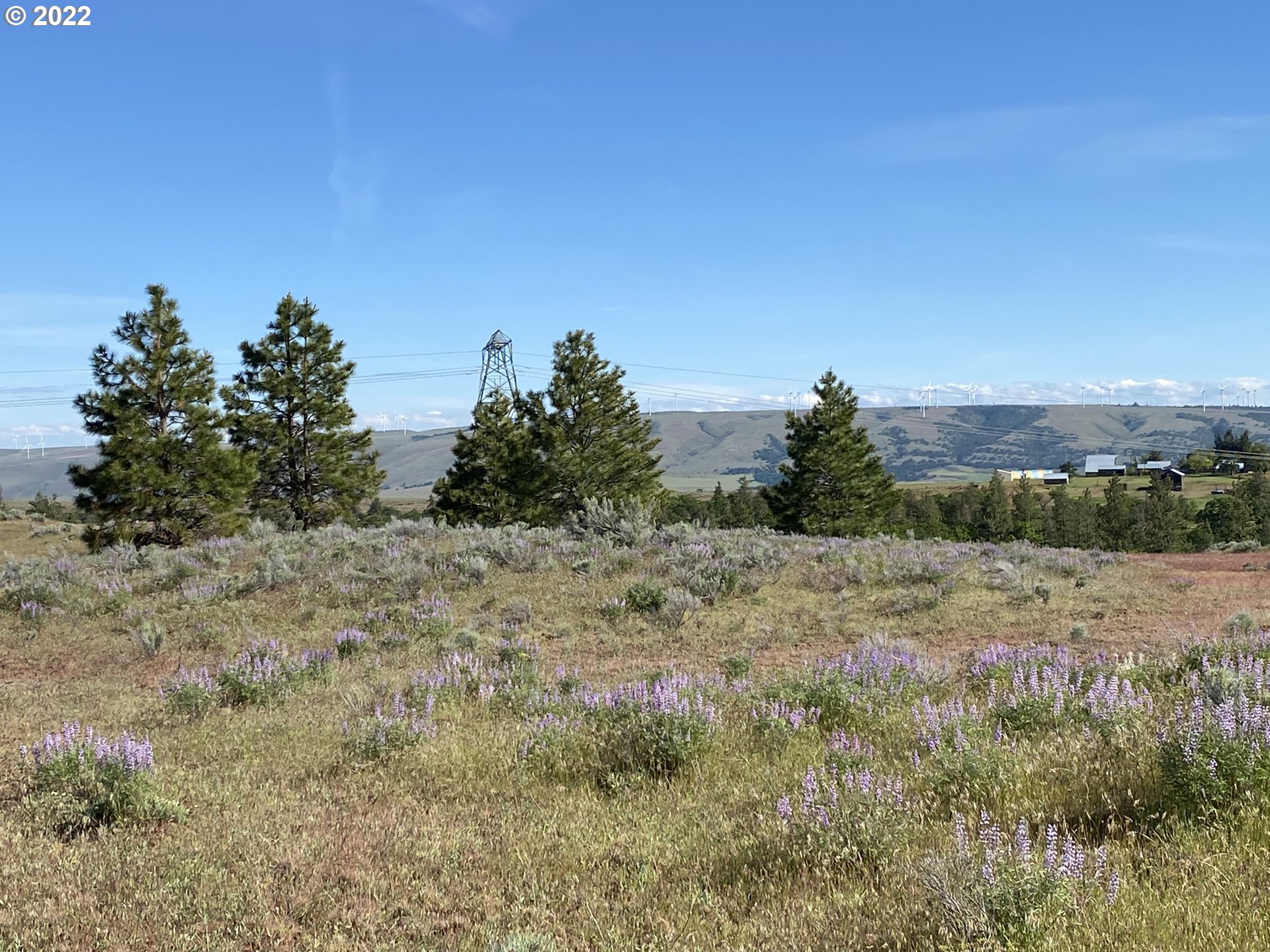 Holter Road Goldendale, WA 98620 - Photo 7 of 23 Gallery Image 7