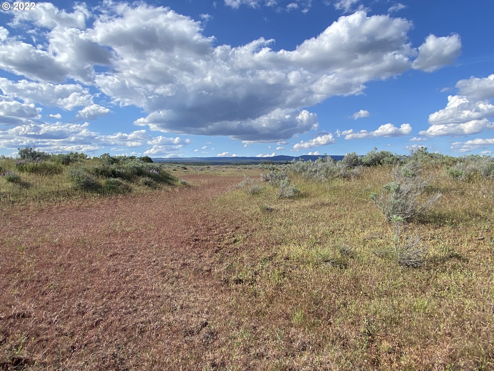 Holter Road Goldendale, WA 98620 - Photo 8 of 23 Gallery Image 8