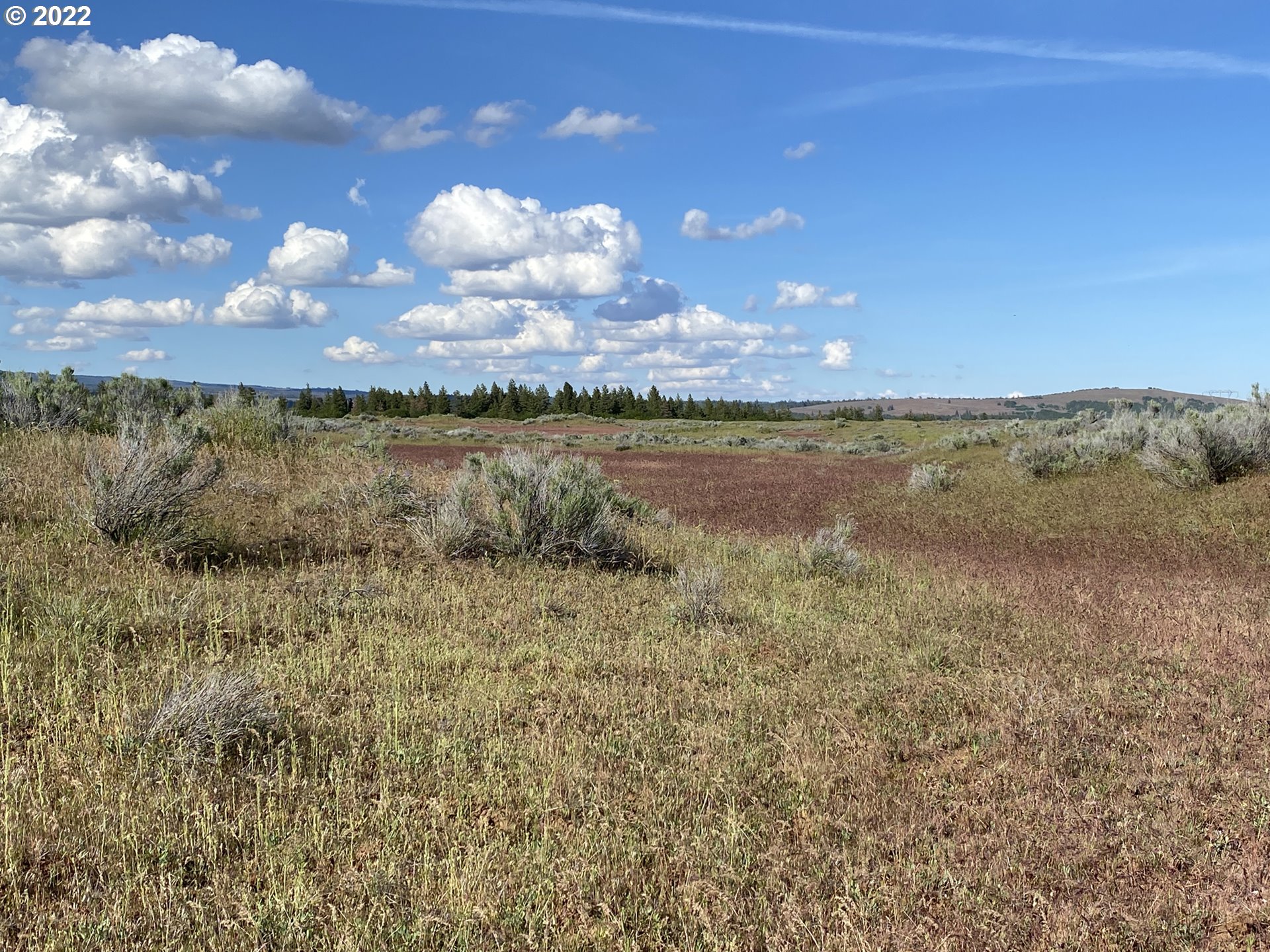 Holter Road Goldendale, WA 98620 - Photo 9 of 23 Gallery Image 9