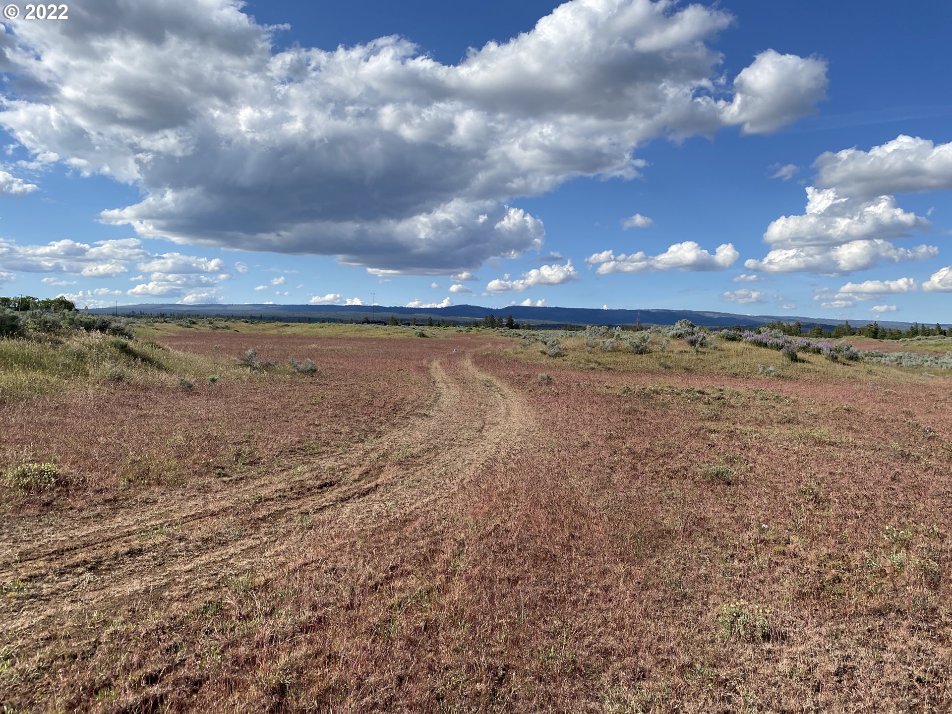 Holter Road Goldendale, WA 98620 - Photo 10 of 23 Gallery Image 10