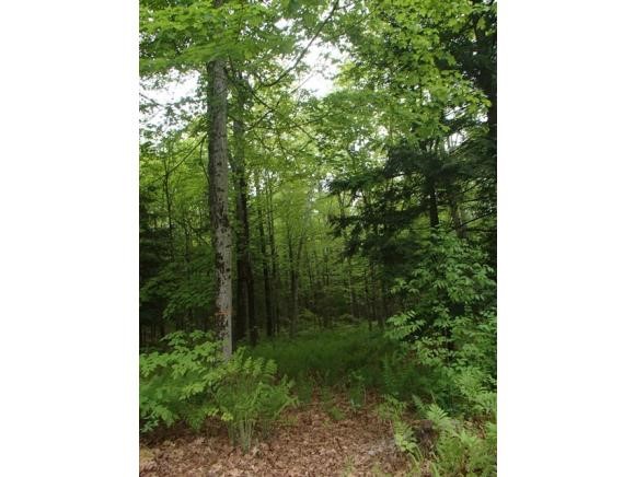 8 Moore Farm Road Keene, NH 03431 - Photo 26 of 30