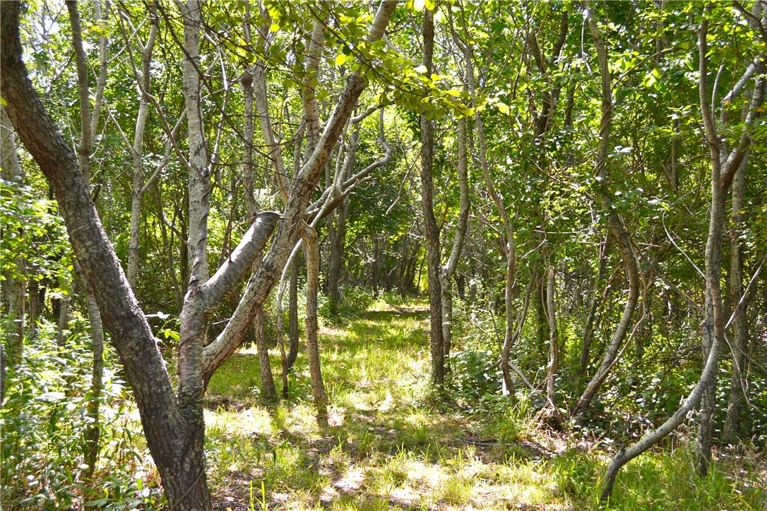 751 Corn Neck Road Block Island, RI 02807 - Photo 15 of 16