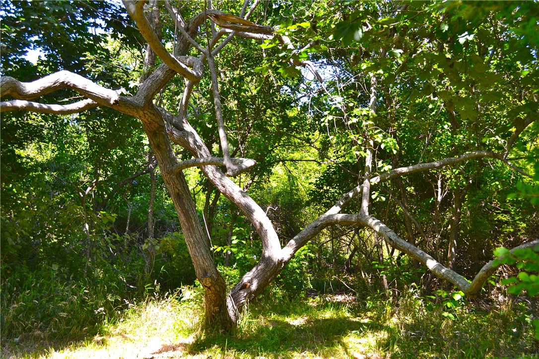751 Corn Neck Road Block Island, RI 02807 - Photo 16 of 16