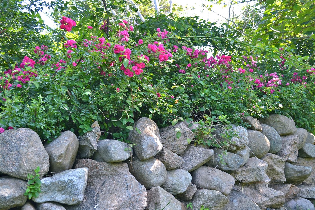 751 Corn Neck Road Block Island, RI 02807 - Photo 2 of 16