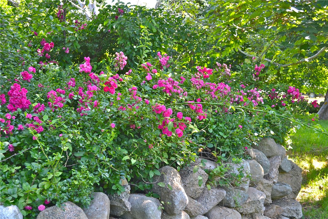 751 Corn Neck Road Block Island, RI 02807 - Photo 3 of 16