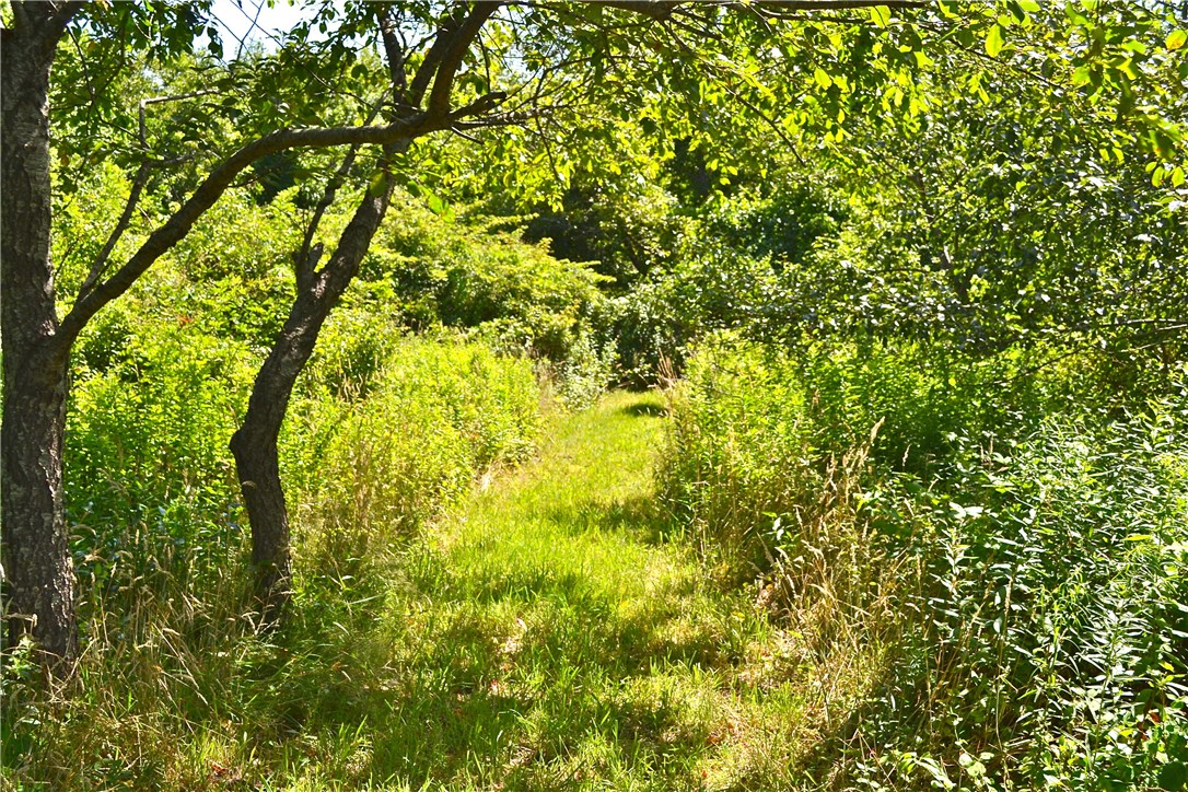 751 Corn Neck Road Block Island, RI 02807 - Photo 4 of 16