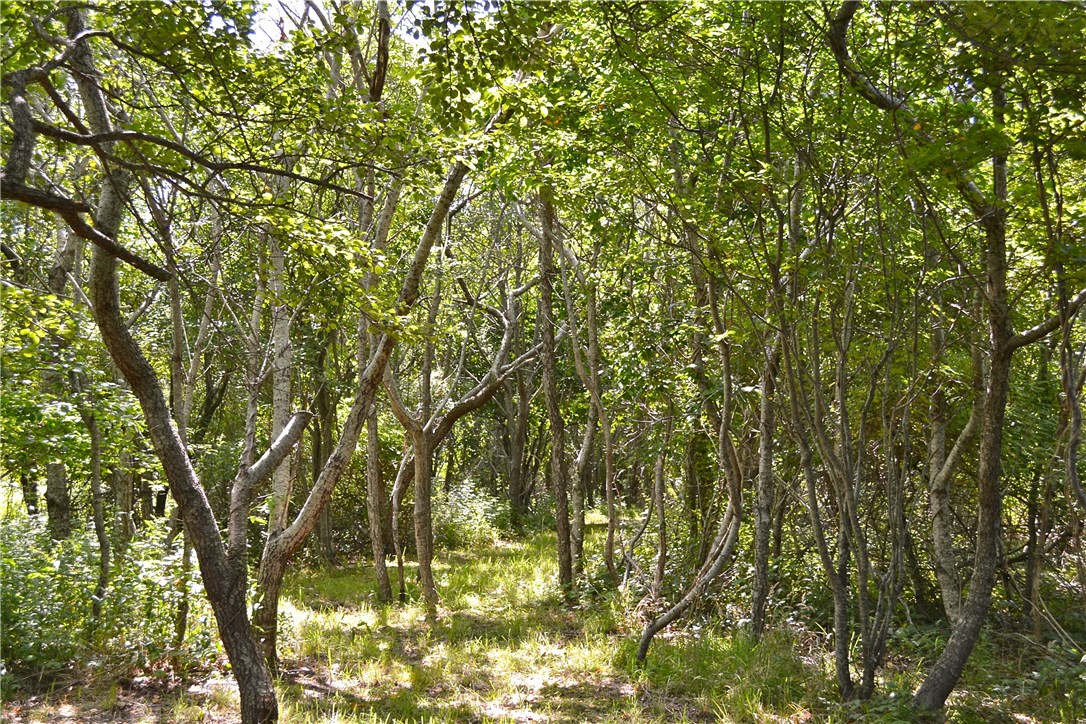 751 Corn Neck Road Block Island, RI 02807 - Photo 5 of 16