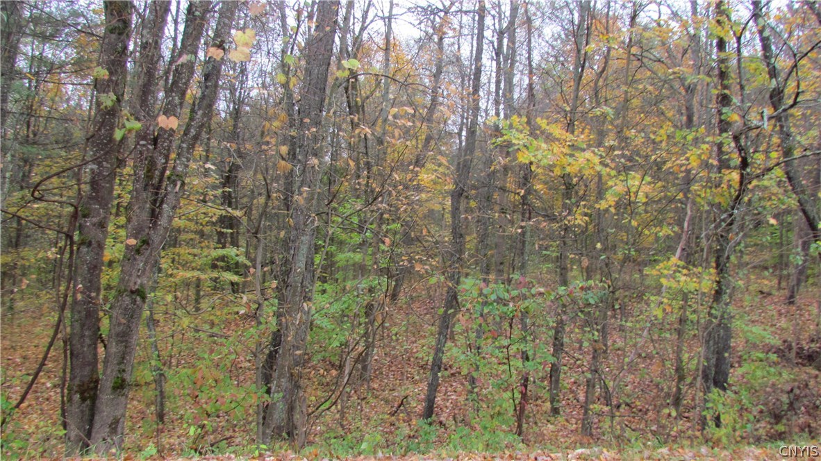 0 North To South Road Brantingham, NY 13312 - Photo 2 of 20 Gallery Image 2