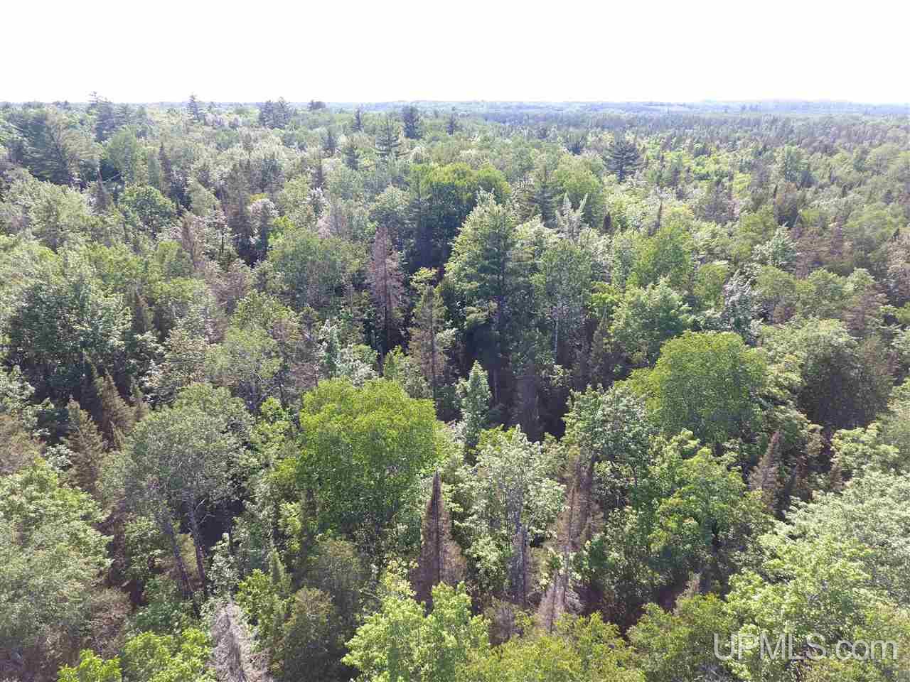 Tbd Co Rd Ppl Ishpeming, MI 49849 - Photo 11 of 30