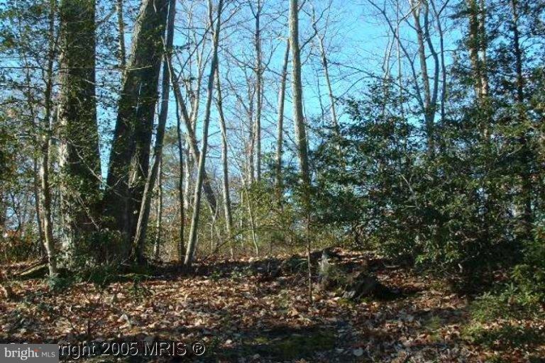 23310 Neck Road Aquasco, MD 20608 - Photo 1 of 10 Exterior (Main)
