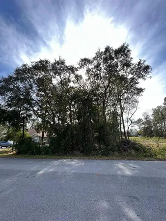 a view of outdoor space and yard