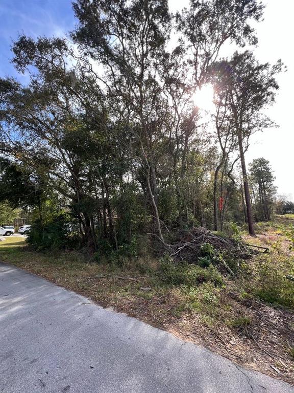 Bahia Terrace Ocala, FL 34472 - Photo 2 of 3 a view of a forest with trees in the background