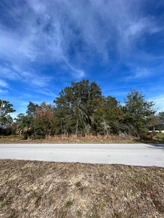 Bahia Terrace Ocala, FL 34472 - Photo 3 of 3 a view of a yard