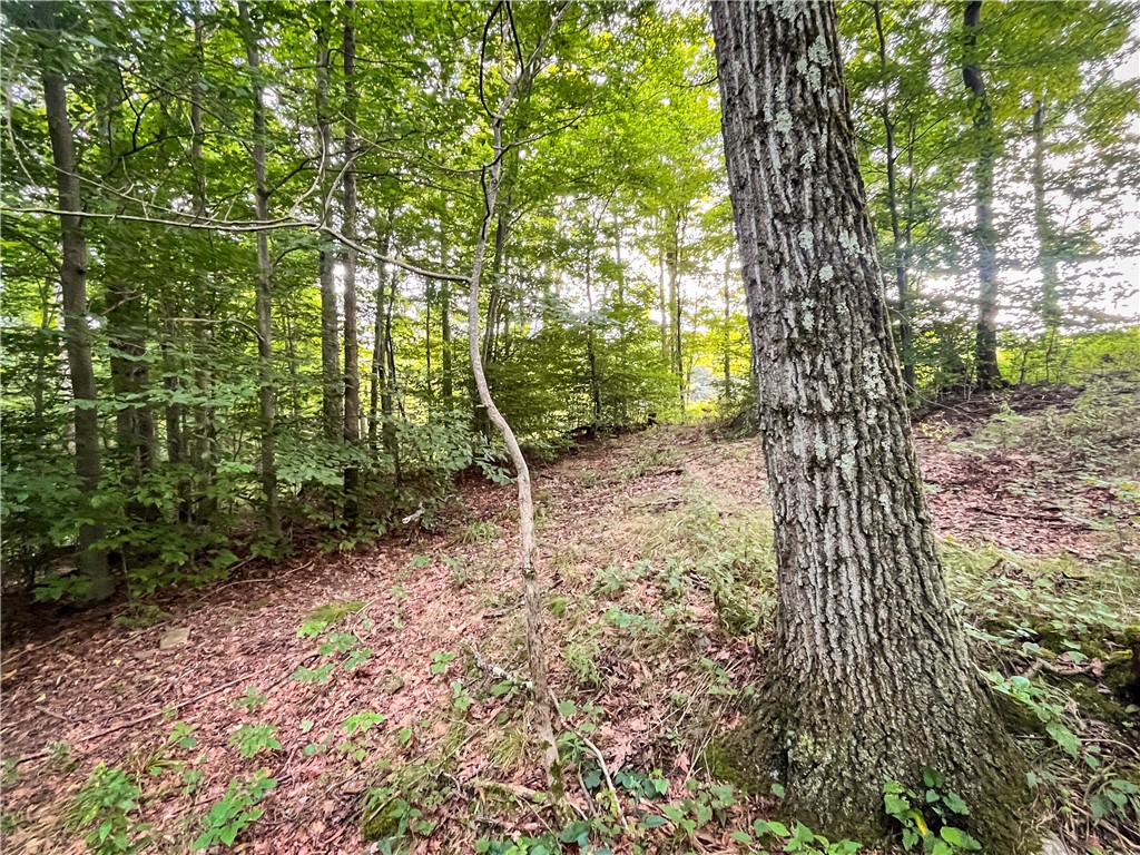Hill Road Spencer, NY 14883 - Photo 8 of 48