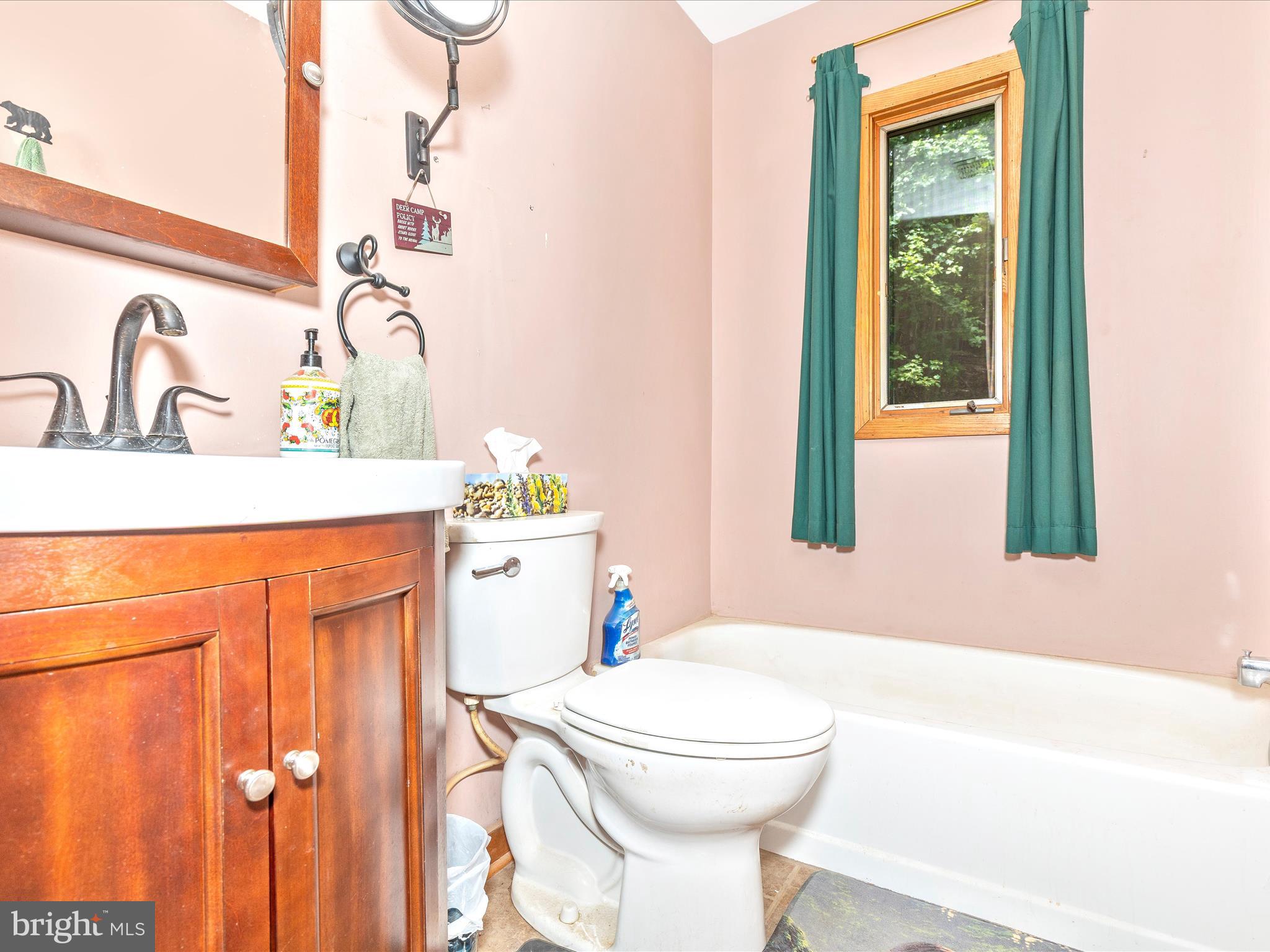 11220 Putman Road Thurmont, MD 21788 - Photo 13 of 52 Hall Bathroom