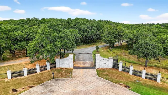 a view of a yard with plants and a large tree