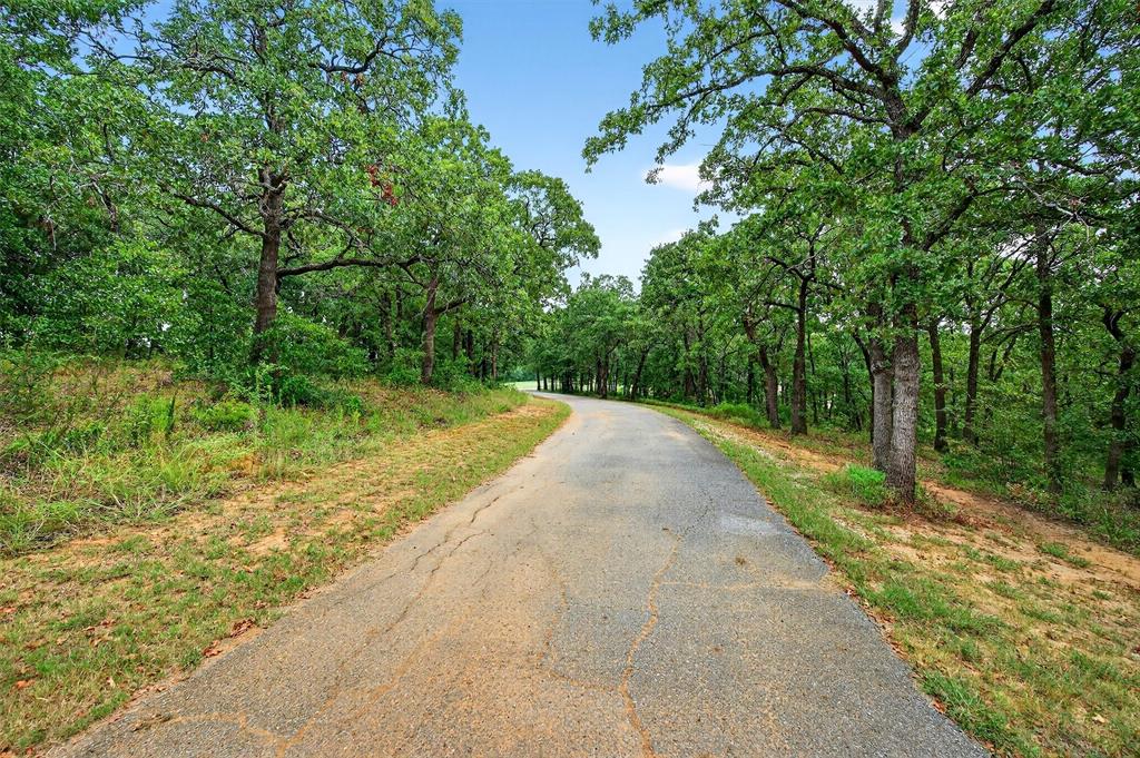 2887 Liberty Road Gordonville, TX 76245 - Photo 10 of 40 a view of a yard with plants and a large tree