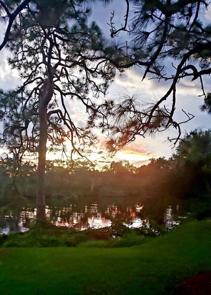 81 Camino Del Rio Port St. Lucie, FL 34952 - Photo 2 of 20 imagejpeg_0