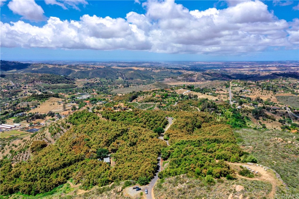view of a city with lush green forest