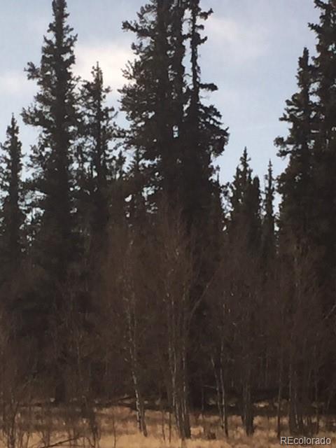 0 No Name Road Como, CO 80432 - Photo 4 of 8 a view of covered with snow