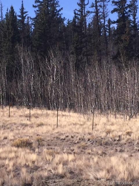 0 No Name Road Como, CO 80432 - Photo 5 of 8 a view of snow on a field