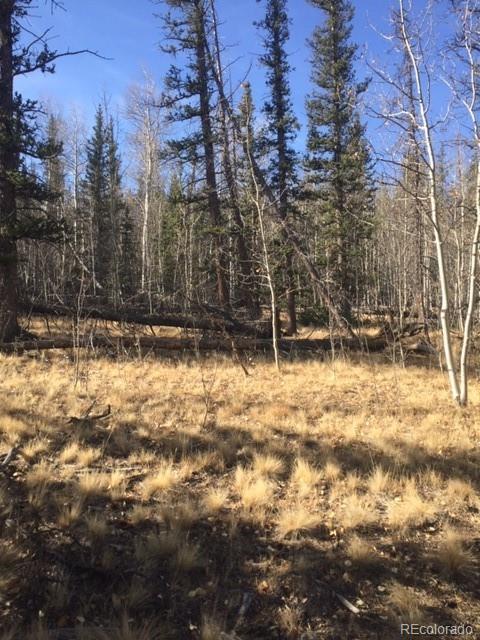0 No Name Road Como, CO 80432 - Photo 6 of 8 a view of snow on the road