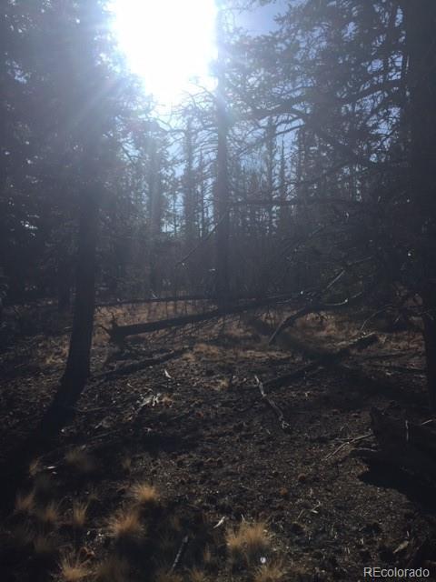 0 No Name Road Como, CO 80432 - Photo 7 of 8 a view of a backyard of a house