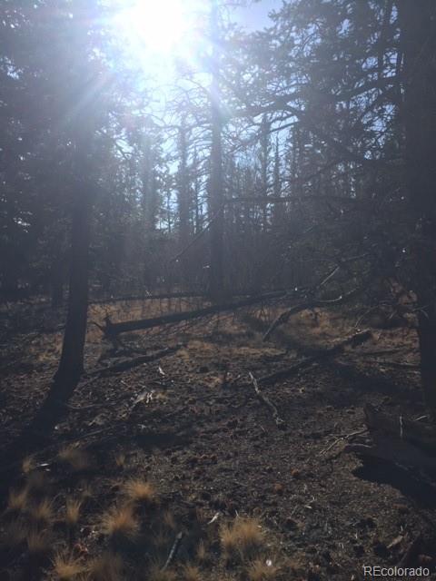 0 No Name Road Como, CO 80432 - Photo 8 of 8